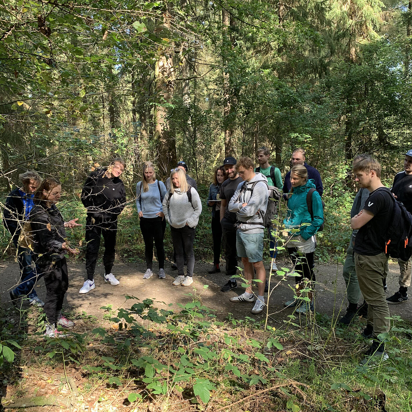 Das Team von visuellverstehen geht beim Sommerfest 2020 Pilzesammeln im Wald.