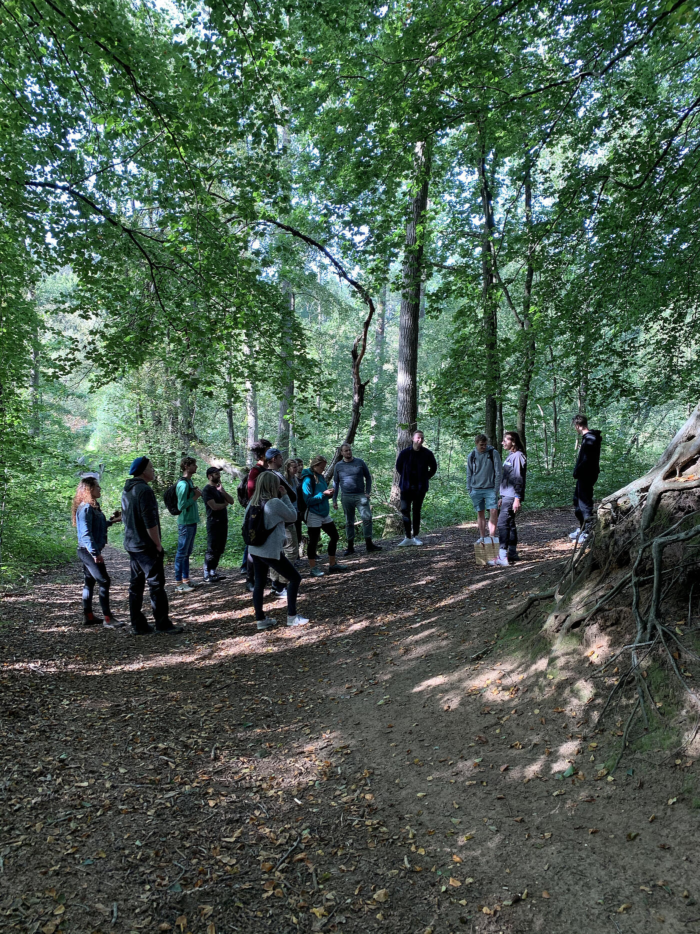 Das Team von visuellverstehen geht beim Sommerfest 2020 Pilzesammeln im Wald.