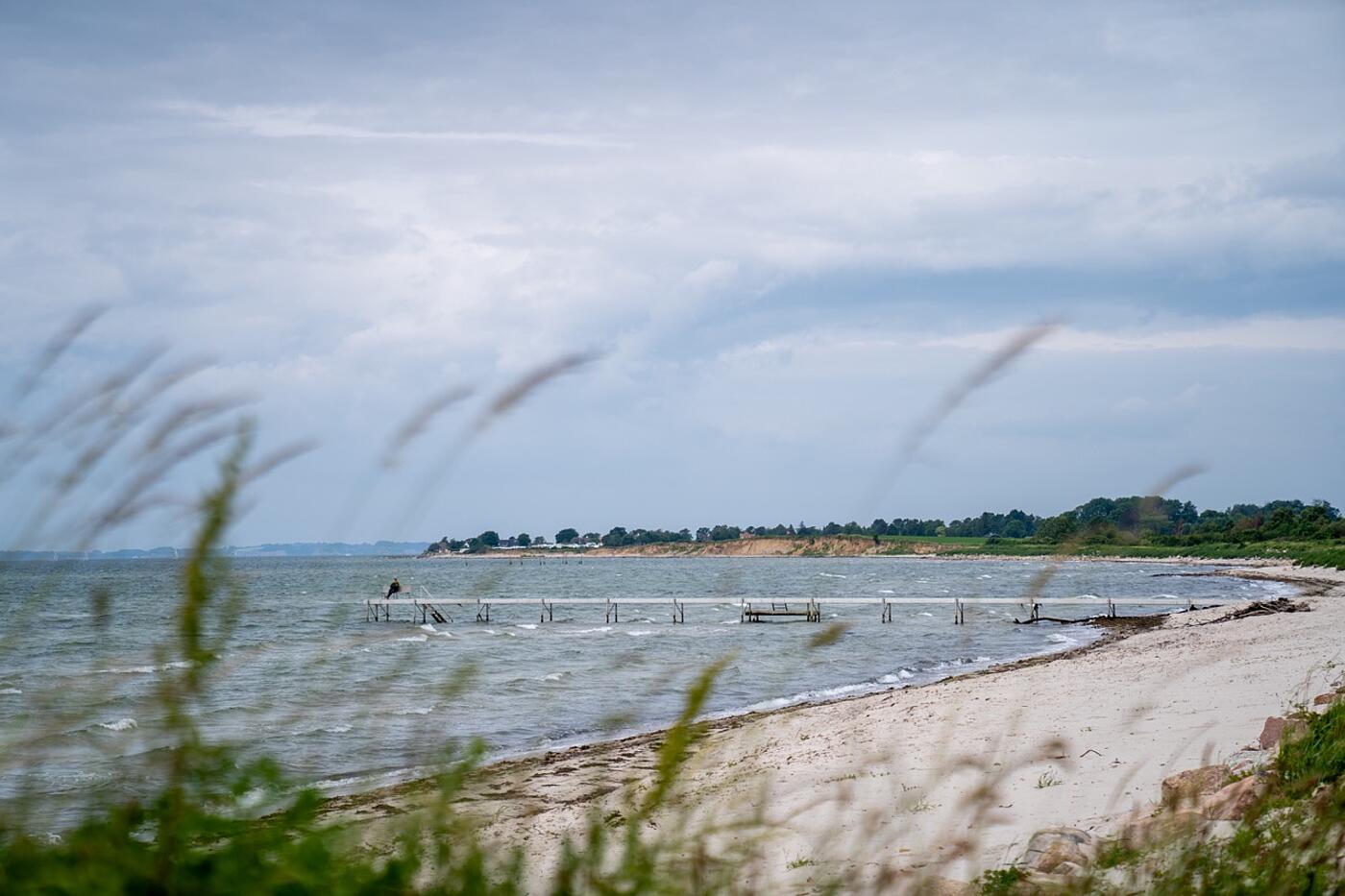 Landschaftsfoto mit Meer und Strand, im Vordergrund Grashalme.