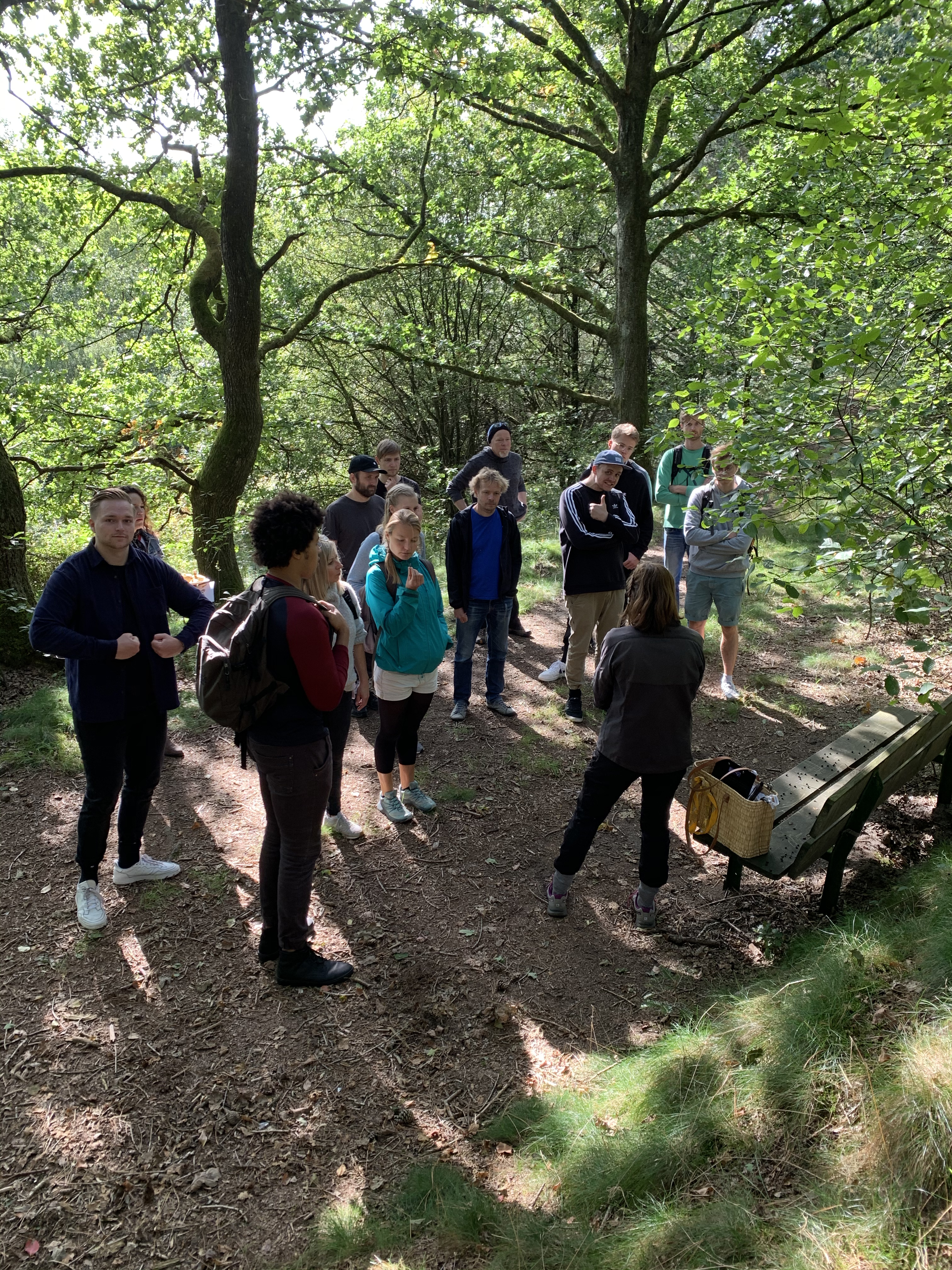 Das Team von visuellverstehen geht beim Sommerfest 2020 Pilzesammeln im Wald.